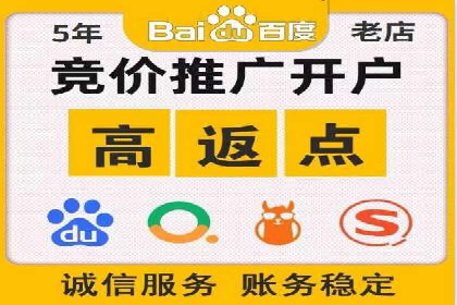 百度竞价SEM成功案例：揭秘广告投放秘诀